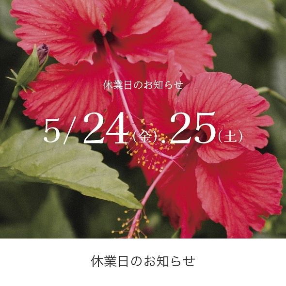 休業日のお知らせです📢

5月24日（金）
5月25日（土）
の2日間は、社員研修のため臨時休業とさせていただきます。

ご不便をお掛けしますが、
どうぞよろしくお願いいたします。

5月27日（月）より、通常営業いたします。

#休業日のお知らせ
#アレックス#アレックス沖縄#おきりぞ#インテリア#インテリアデザイン#インテリアコーディネート#建築#建築デザイン#店舗デザイン#沖縄店舗設計#沖縄インテリア#interior#interiordesign#resortdesign