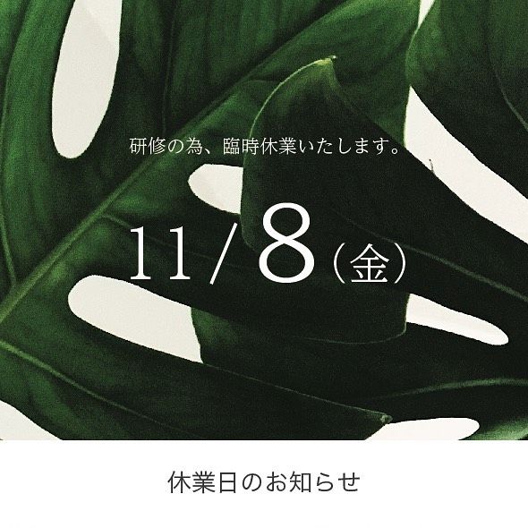 休業日のお知らせです📢

11月8日（金）は、社員研修のため臨時休業とさせていただきます。

ご不便をお掛けしますが、よろしくお願いします。

#休業日のお知らせ
#アレックス